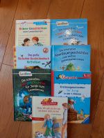 7 Kinderbücher Setpreis Silbengeschichten Erstleser Niedersachsen - Schwarmstedt Vorschau