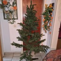 Tannenbaum Künstlich 180 cm gebraucht Nordrhein-Westfalen - Krefeld Vorschau