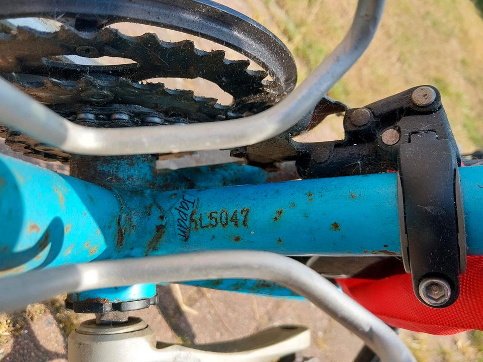 Norco Mountain bike aus Kanada vintage 1987 in Glückstadt