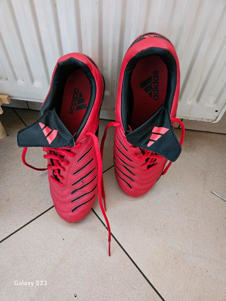 Adidas Schuhe gr. 41 1/3 in Wadgassen