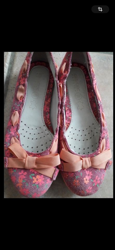 SUCHE: Geox Ballerinas 34, 35, 36, 37 in München