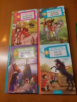 B. Rapley, Ein Fall für die Pony-Kommissare, Bd. 1 - 4, Hardcover Bayern - Augsburg Vorschau