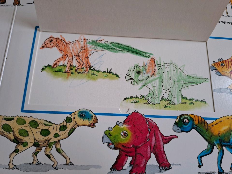 WAS IST WAS Junior - 2 Bücher - Dinosaurier & Unsere Erde in Oberderdingen