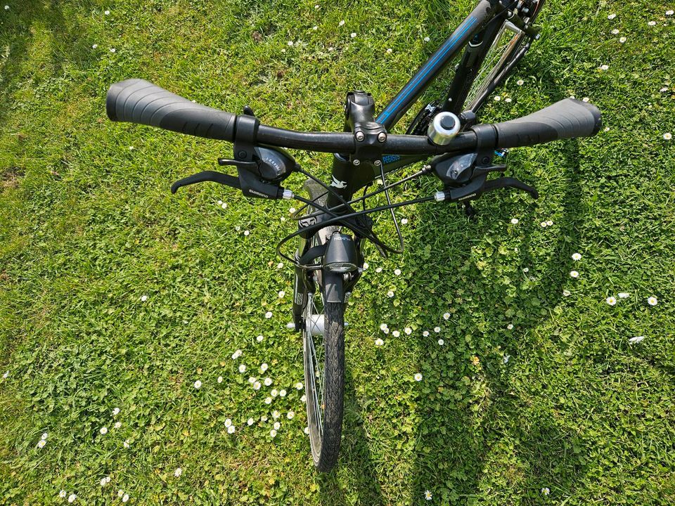 Fahrrad Pegasus City-Bike in Elsdorf