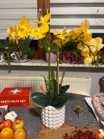 Abella Flora künstliche gelbe Orchidee in weißem Topf Niedersachsen - Visselhövede Vorschau