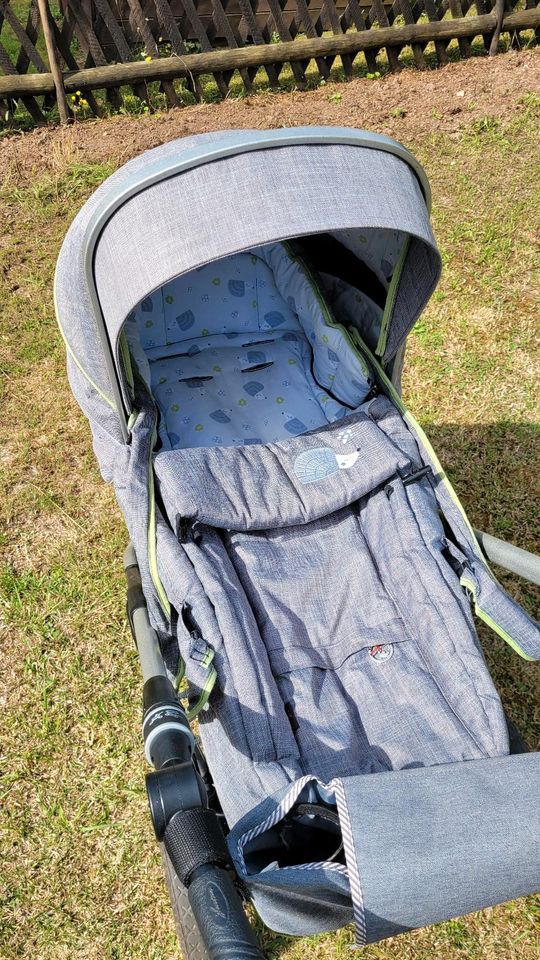 Kinderwagen Hartan Racer GTS Igelmotiv in Zwickau