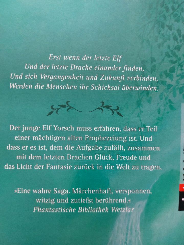 Der letzte Elf von Silvana De Mari Fantasybuch Teenager in Mötzingen