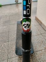 Scooter custom/umtausch auf ein E roller mit schtraßenzulasung Hessen - Nidda Vorschau