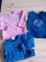 Frühling Set Shirts Langarm gr 86/92 Nordrhein-Westfalen - Emsdetten Vorschau