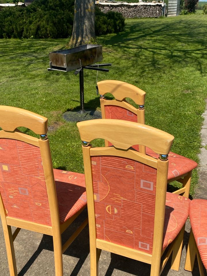 Holz Stühle mit Stoff bezogen in Langgöns