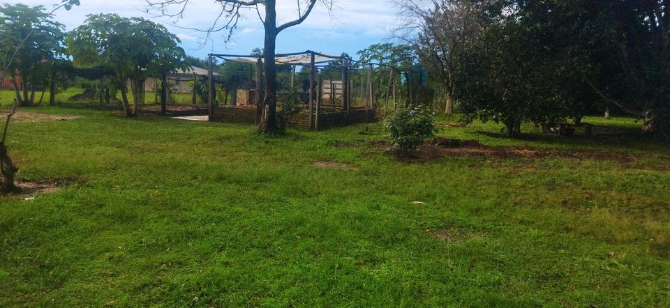 Schmuckstück in der Kolonie Reinland/Neufeld Caazapá PARAGUAY in Langenbrettach