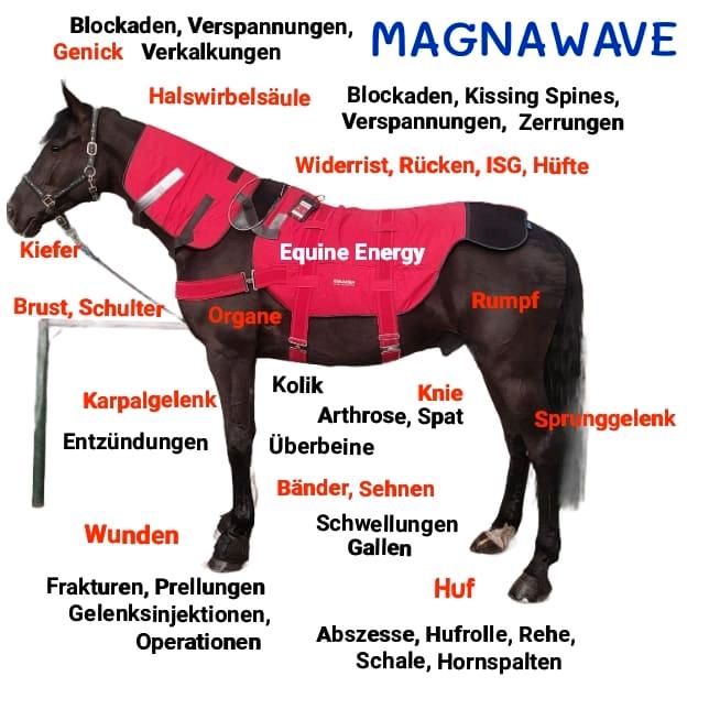 MagnaWave Pemf Magnetfeldtherapie in Hof (Saale)