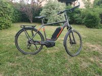 Hercules Herren E-Bike Pedelec Futura Sport 8.2 500 Wh Berlin - Kaulsdorf Vorschau