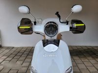 Moped Roller Handlenkerschutz Bayern - Regenstauf Vorschau