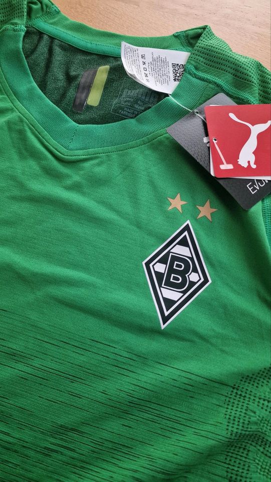 Trikot Borussia Mönchengladbach Gladbach Spielerversion Puma in Nettetal