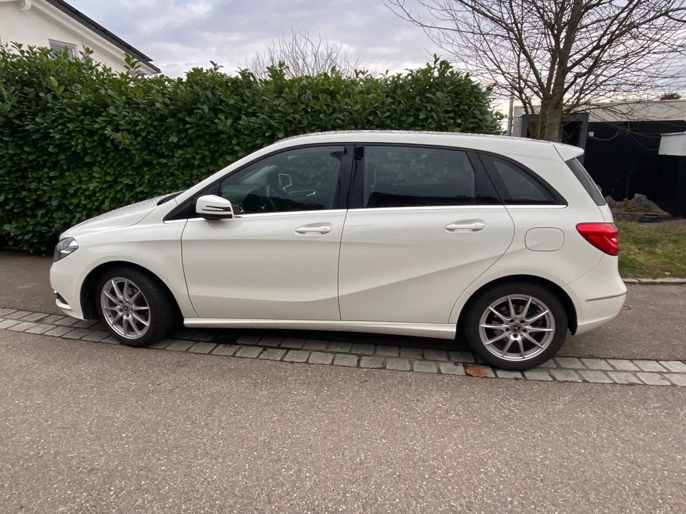 Mercedes Benz B180 in Rechberghausen