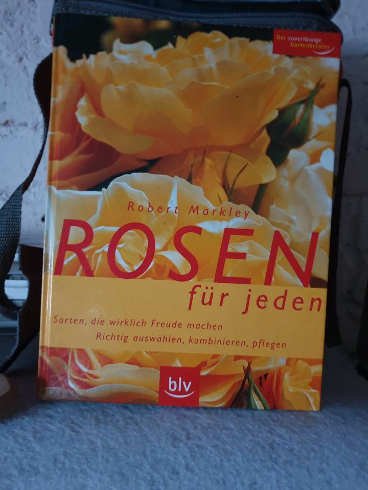 Rosen Buch in Recklinghausen