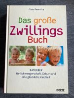 Das große Zwillings Buch Berlin - Steglitz Vorschau