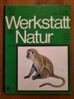 Säugetiere Aus der Werkstatt der Natur Copyright 1971 Eimsbüttel - Hamburg Harvestehude Vorschau