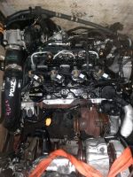 MOTOR FORD ZTDA ZTDB ZTD 1.5 ECOBLUE 25TKM Nordrhein-Westfalen - Schloß Holte-Stukenbrock Vorschau