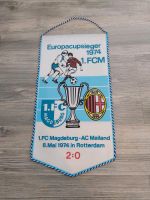 FC Magdeburg Wimpel von 1974 Sachsen-Anhalt - Langenstein Vorschau
