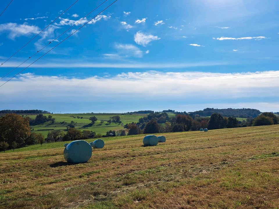 Siloballen / Silage 2023 2022 1,30m geschnitten in Nidda