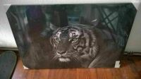 großes Bild Tiger im Rahmen (80 x 60) - NEU / OVP Sachsen - Bernsdorf Vorschau