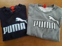 Pullis/ Puma Bayern - Moosinning Vorschau