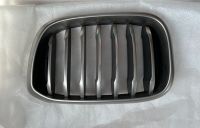 Original BMW X3 G01 X4 G02 Grill vorne links 51137464921 Nordrhein-Westfalen - Werne Vorschau