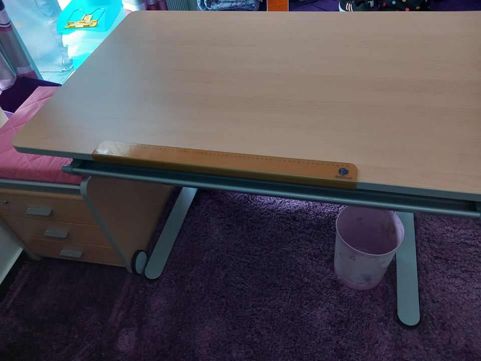 PAIDI BüffelLand Schreibtisch 125 x 75 cm mit Rollcontainer in Fritzlar