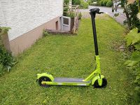 E Scooter mit Strassenzulassung Nordrhein-Westfalen - Nieheim Vorschau