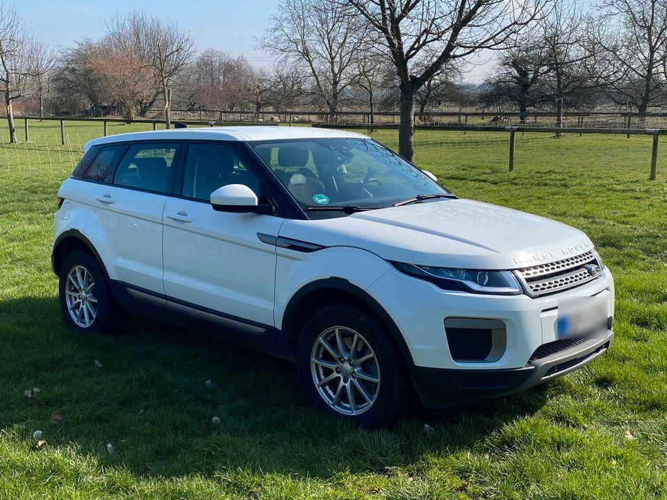 Top gepflegter Range Rover Evoque 4X4 zu verkaufen! in Schweigen-Rechtenbach