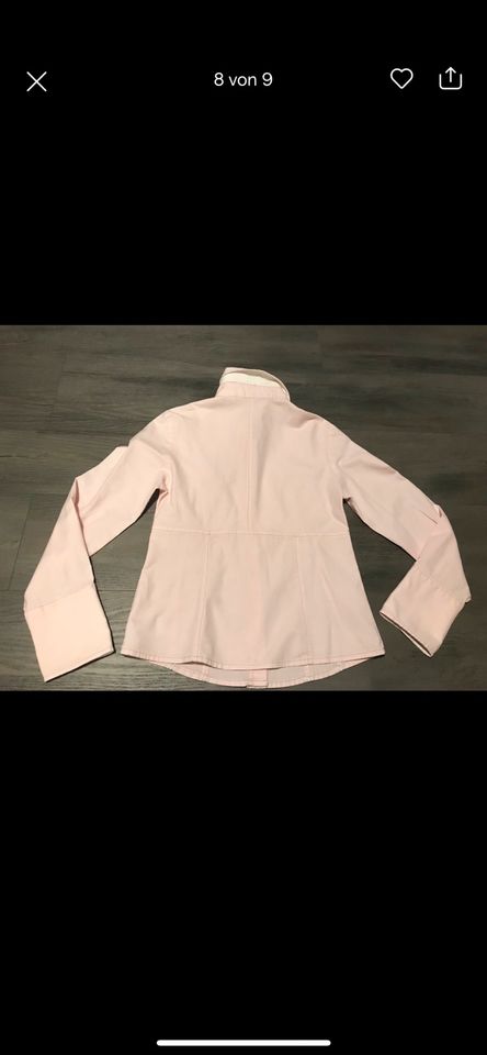 Bottega Damen Bluse Gr S / 36 Langarm Rosa in Edewecht