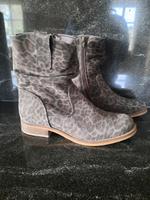 Cellini Stiefelette 37 Leo Nordrhein-Westfalen - Monschau Vorschau