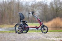 Easy Rider Compact Fa. Van Raam Modell 2023 Weinrot Matt Niedersachsen - Emden Vorschau