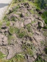 Erdaushub Füllsand Mutterboden zu verschenken Niedersachsen - Tostedt Vorschau