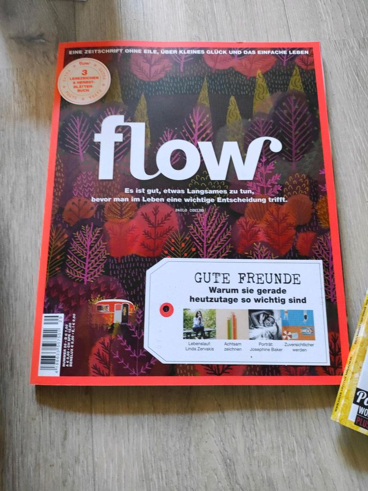 Die Zeitschrift Flow in Schleswig
