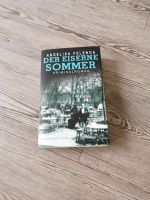 Der eiserne Sommer, Kriminalroman Buch Kreis Ostholstein - Eutin Vorschau