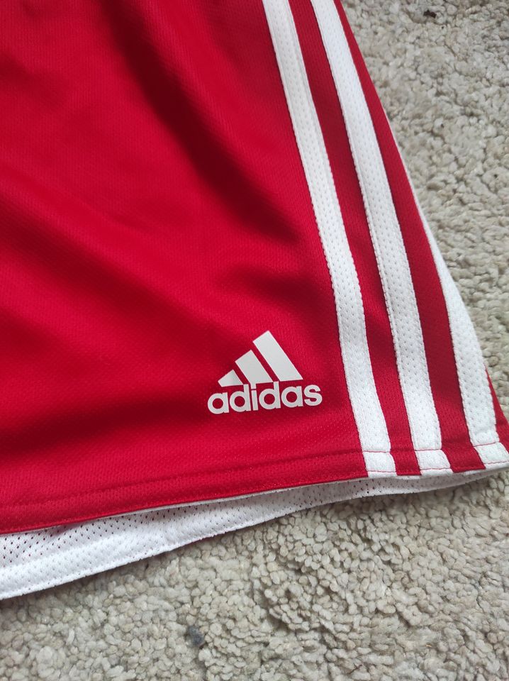 Adidas Sporthose Shorts Gym Style rot Men Gr. S in Berlin