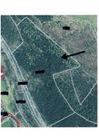 Waldgrundstück Sachsen - Adorf-Vogtland Vorschau