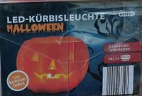 LED Kürbisleuchte Halloween (Neu) Nordrhein-Westfalen - Ibbenbüren Vorschau