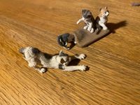 Schleich Katzen,2-teilig Bayern - Jengen Vorschau