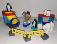 Lego Duplo 5633 Polartiergehege mit Eisbären, Pinguinen Rheinland-Pfalz - Alzey Vorschau