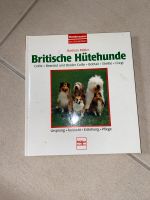 Britische Hütehunde Buch Baden-Württemberg - Teningen Vorschau