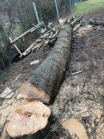 Stammholz Wildkirsche 4,50m Bayern - Neudrossenfeld Vorschau