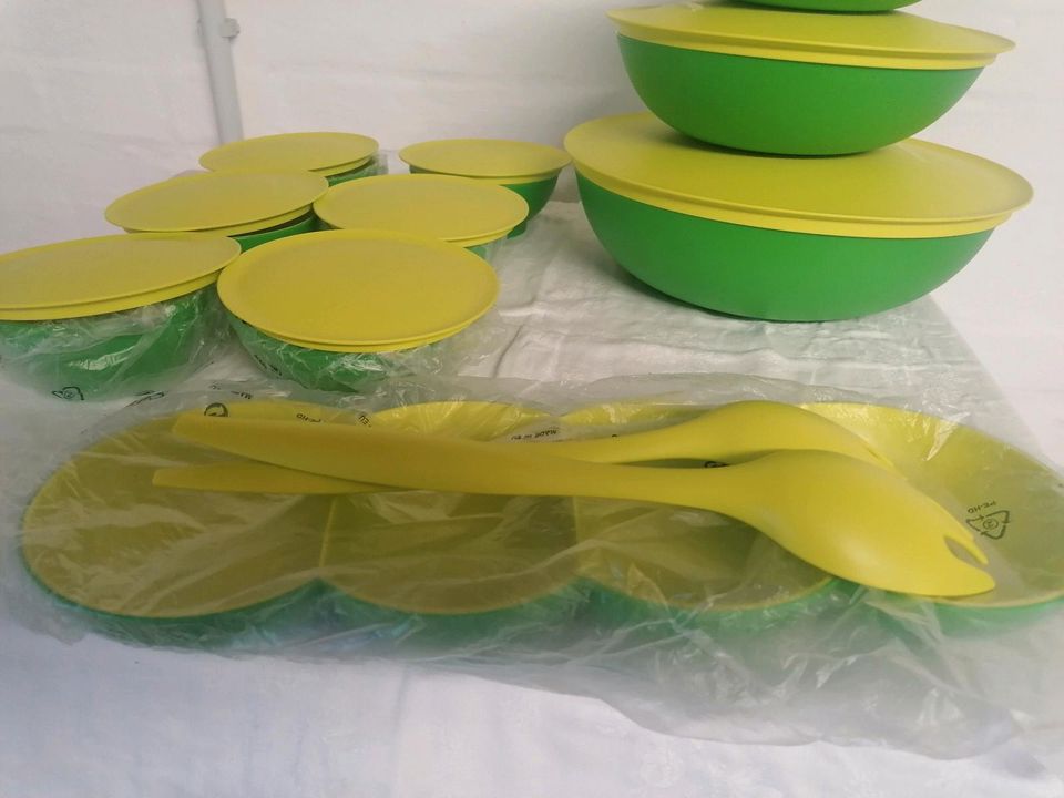 Tupperware Allegra-Set  NEU in Dedeleben