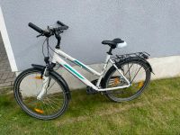 Fahrrad / Pegasus Avanti Sachsen - Beilrode Vorschau