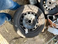 4x Winterreifen Golf 7 205/55 R16 Sachsen-Anhalt - Bad Duerrenberg Vorschau