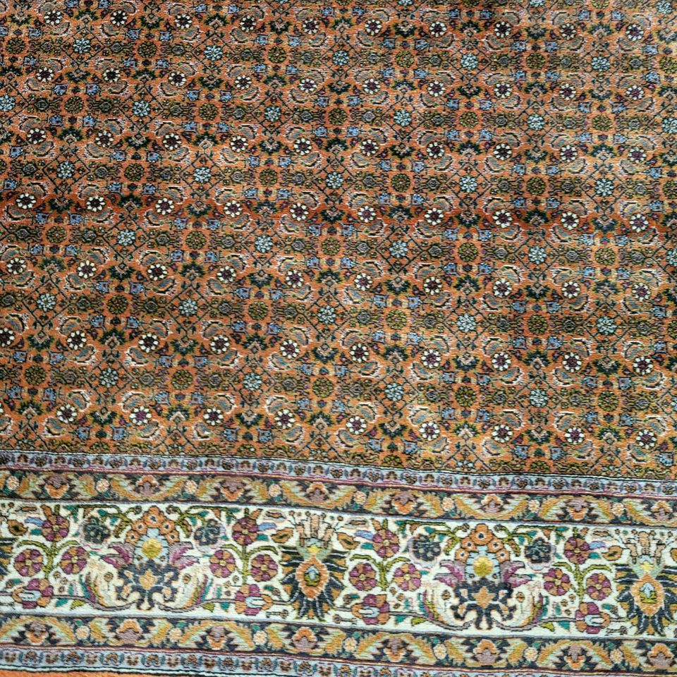 Bidjar Tekab Orient Teppich 250/350 in Minden