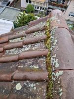 Professionelle Dachreinigung, Dachbeschichtung Fassadenreinigung Hessen - Darmstadt Vorschau